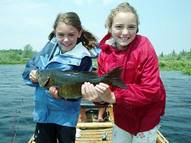 GLS Fish